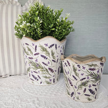 Load image into Gallery viewer, Lavender Plant Pot