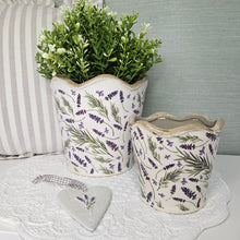 Load image into Gallery viewer, Lavender Plant Pot