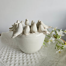 Load image into Gallery viewer, Birdie Plant Pot