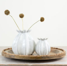 Load image into Gallery viewer, White Poppy Seed Vase