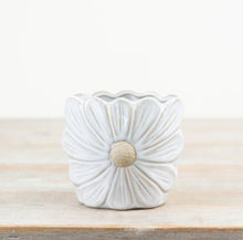 Load image into Gallery viewer, Daisy Pot