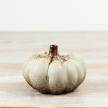 Load image into Gallery viewer, Harvest Pumpkin Collection