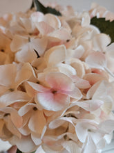 Load image into Gallery viewer, Hydrangea Blush Cream Faux Stem
