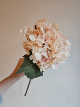 Load image into Gallery viewer, Hydrangea Blush Cream Faux Stem
