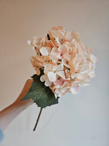 Hydrangea Blush Cream Faux Stem