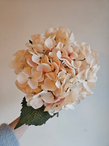 Hydrangea Blush Cream Faux Stem