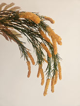 Load image into Gallery viewer, Golden Amaranthus
