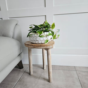 Scalloped Pots