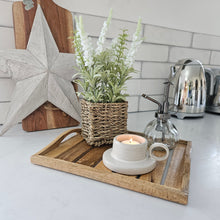 Load image into Gallery viewer, Veronica Potted Plant
