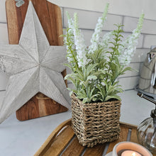 Load image into Gallery viewer, Veronica Potted Plant

