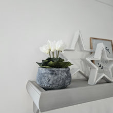 Load image into Gallery viewer, White Cyclamen in Pot
