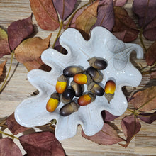 Load image into Gallery viewer, Acorn Leaf Dish
