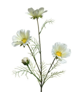 Coreopsis Flower Stem