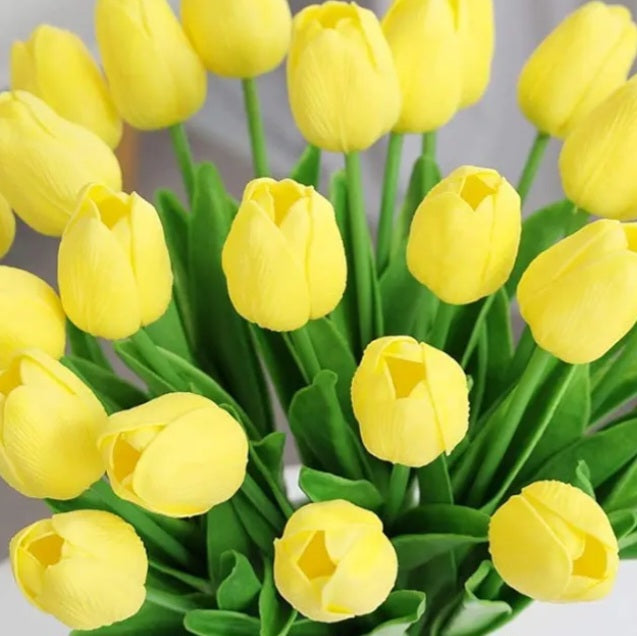 Yellow Tulips