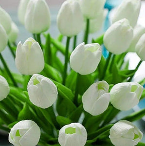 White Tulips