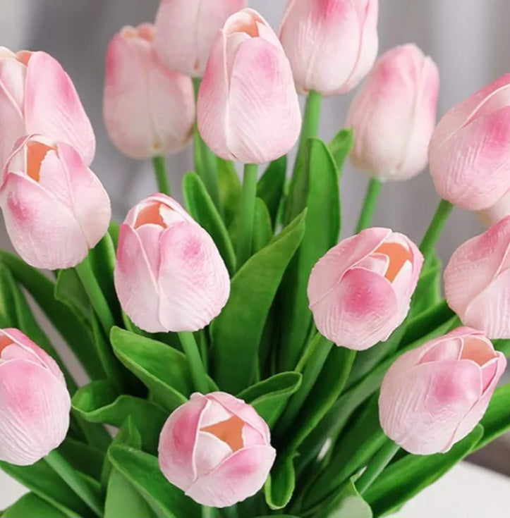 Pink Tulips