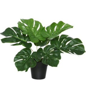 Artificial Monstera