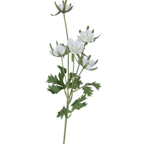 White Wildflower Stem