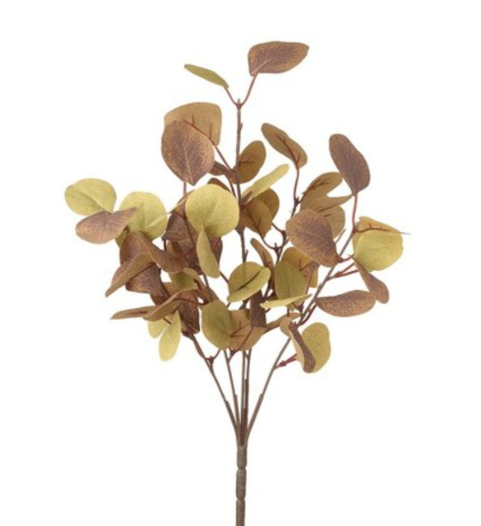 Autumn Eucalyptus Leaf Bunch