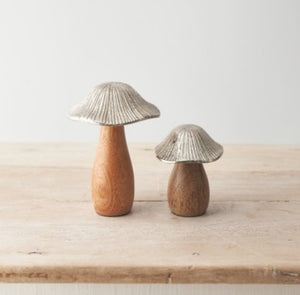 Mangowood Mushroom