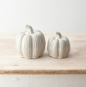 Rustic Ceramic Pumpkin and Squash