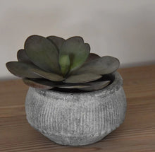 Load image into Gallery viewer, Grey Washed Stone Ribbed Planter
