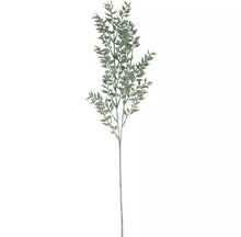 Load image into Gallery viewer, Ruscus Spray
