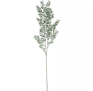 Ruscus Spray