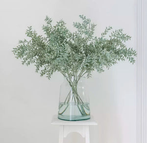 Ruscus Spray