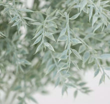 Load image into Gallery viewer, Ruscus Spray

