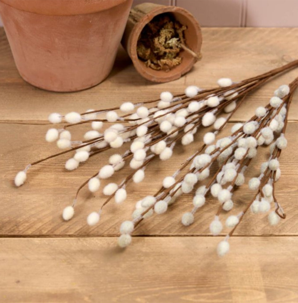 Pussy Willow Bunch