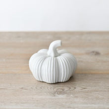 Load image into Gallery viewer, White Ribbed Pumpkin
