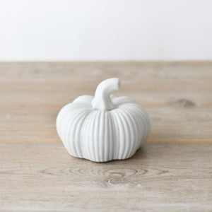 White Ribbed Pumpkin