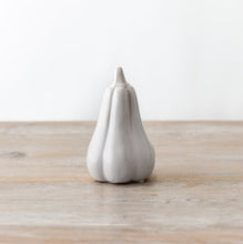 Load image into Gallery viewer, Grey Pumpkin
