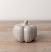 Load image into Gallery viewer, Grey Pumpkin
