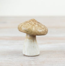Load image into Gallery viewer, Brown Stoneware Mushroom
