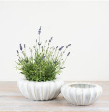 Load image into Gallery viewer, Portia Plant Pot
