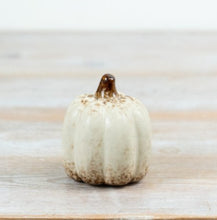 Load image into Gallery viewer, Harvest Pumpkin Collection
