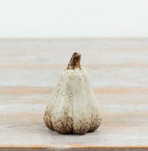 Load image into Gallery viewer, Harvest Pumpkin Collection
