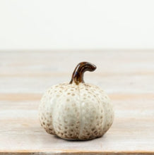 Load image into Gallery viewer, Harvest Pumpkin Collection
