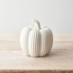White Ribbed Pumpkin