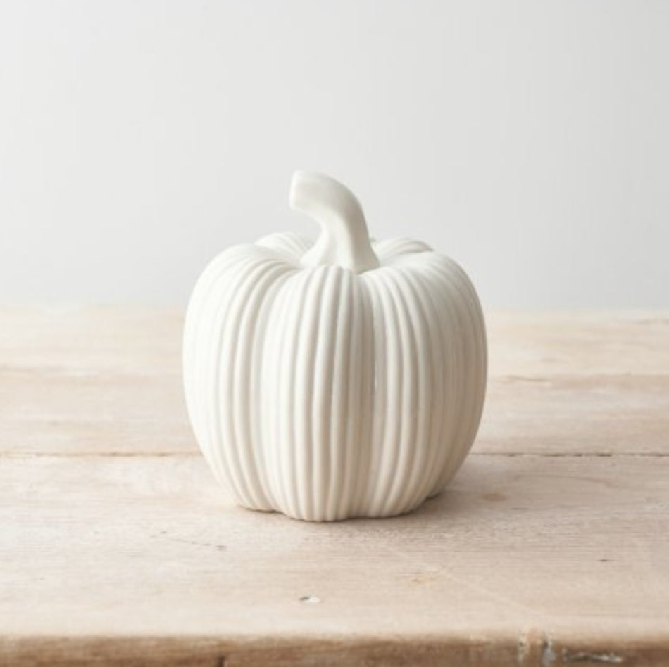 White Ribbed Pumpkin