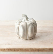 Load image into Gallery viewer, Rustic Ceramic Pumpkin and Squash
