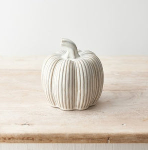 Rustic Ceramic Pumpkin and Squash