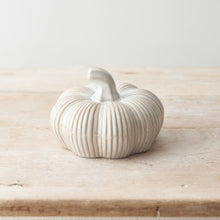 Load image into Gallery viewer, Rustic Ceramic Pumpkin and Squash
