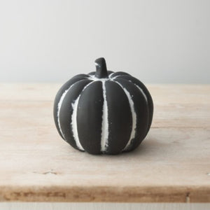 Black Pumpkin