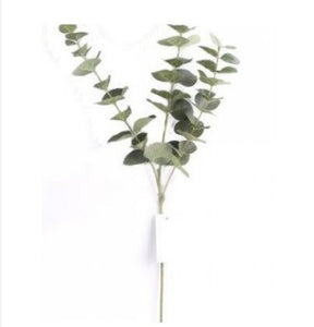 Eucalyptus Spray