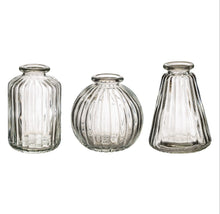 Load image into Gallery viewer, Glass Bud Vases - Set of 3
