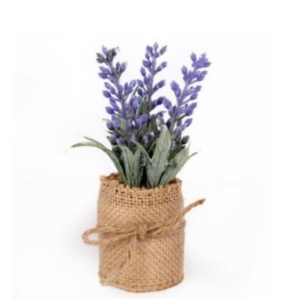 Lavender in Hessian