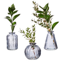 Load image into Gallery viewer, Glass Bud Vases - Set of 3
